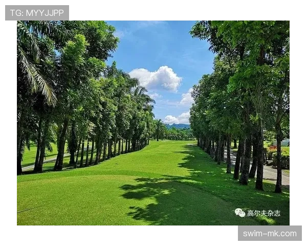 北京国安携手绿色海洋，共启可持续发展新篇章