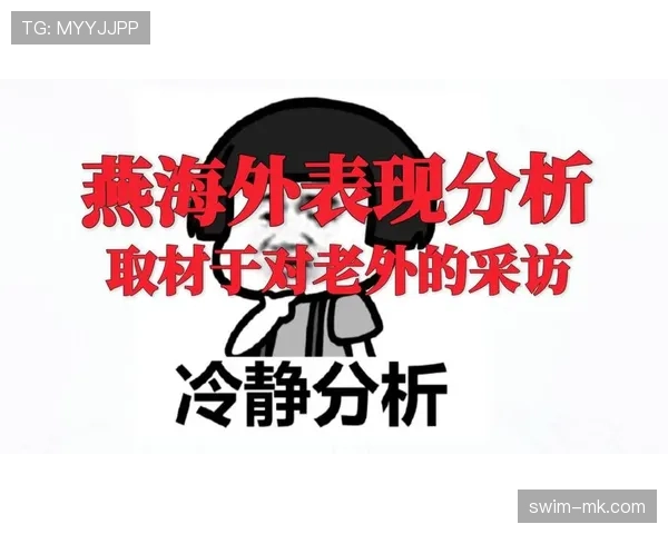 南安普顿王朝崛起中的表现分析与发展趋势