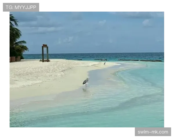 大阪刚在马尔代夫买岛，说是为了避开人群训练